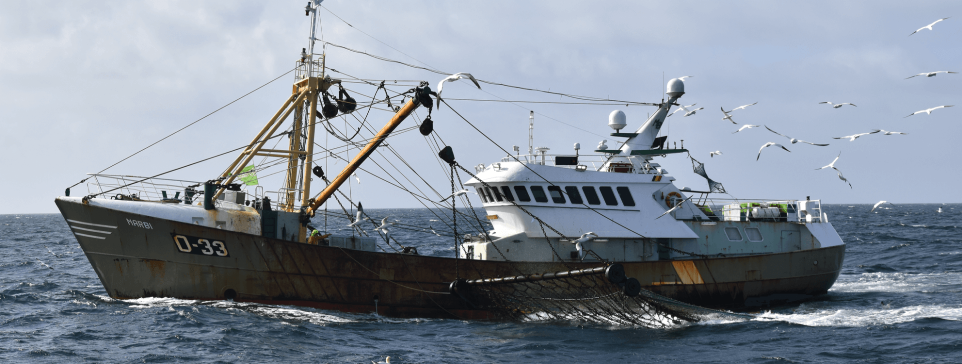 rederscentrale-fishing-for-litter